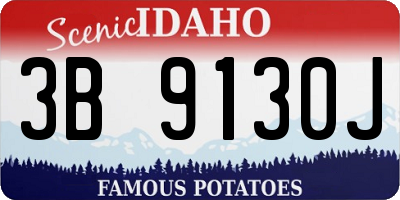 ID license plate 3B9130J