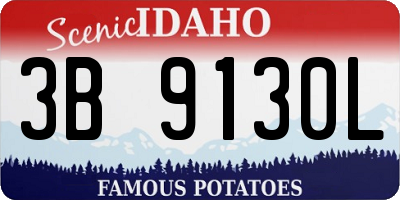 ID license plate 3B9130L