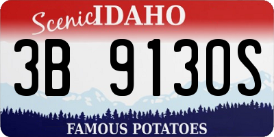 ID license plate 3B9130S