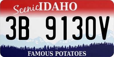 ID license plate 3B9130V
