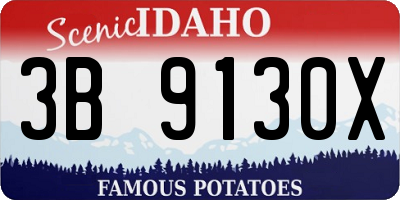 ID license plate 3B9130X