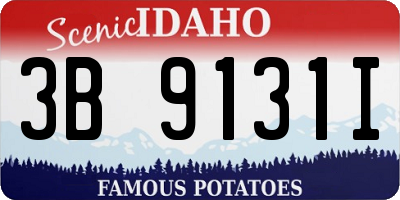 ID license plate 3B9131I