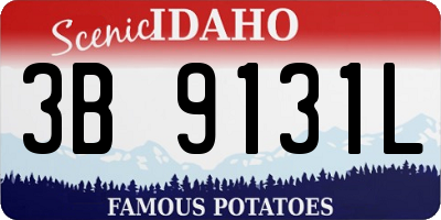 ID license plate 3B9131L
