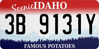 ID license plate 3B9131Y