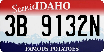 ID license plate 3B9132N