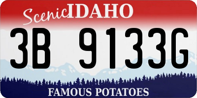 ID license plate 3B9133G