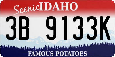 ID license plate 3B9133K