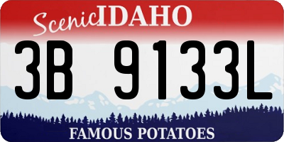 ID license plate 3B9133L