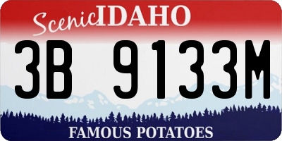 ID license plate 3B9133M