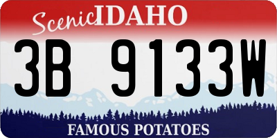 ID license plate 3B9133W