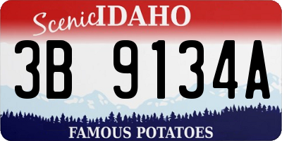 ID license plate 3B9134A