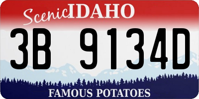 ID license plate 3B9134D