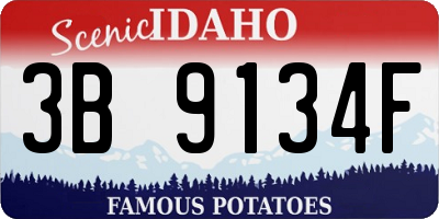 ID license plate 3B9134F