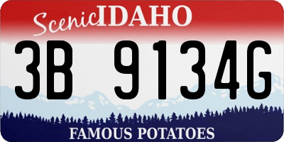 ID license plate 3B9134G