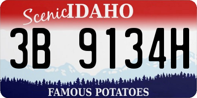 ID license plate 3B9134H