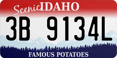 ID license plate 3B9134L
