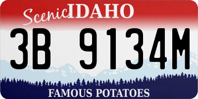 ID license plate 3B9134M