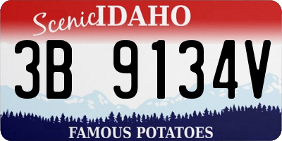 ID license plate 3B9134V