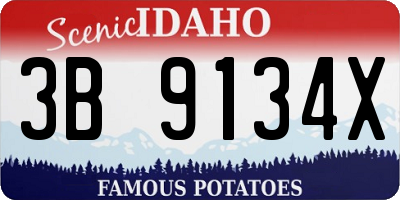 ID license plate 3B9134X