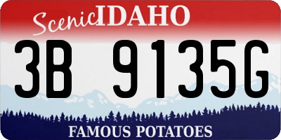 ID license plate 3B9135G