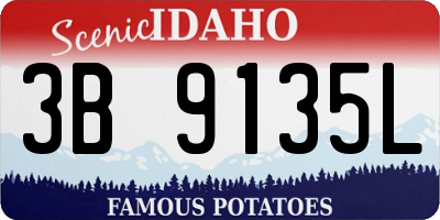 ID license plate 3B9135L