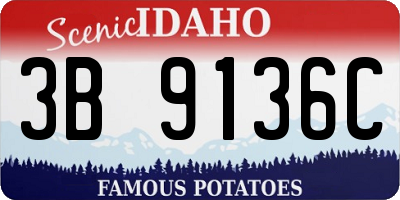 ID license plate 3B9136C