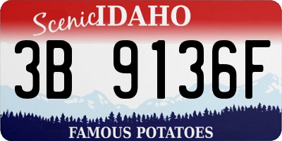 ID license plate 3B9136F