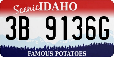 ID license plate 3B9136G