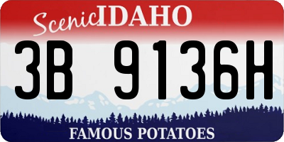 ID license plate 3B9136H