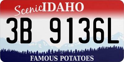 ID license plate 3B9136L