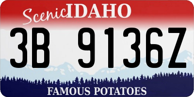 ID license plate 3B9136Z