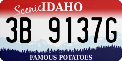 ID license plate 3B9137G