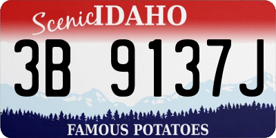 ID license plate 3B9137J
