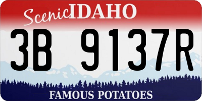 ID license plate 3B9137R
