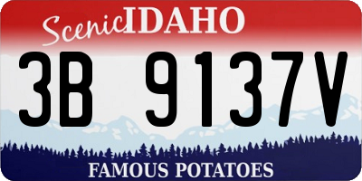 ID license plate 3B9137V