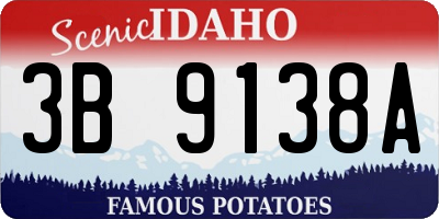 ID license plate 3B9138A