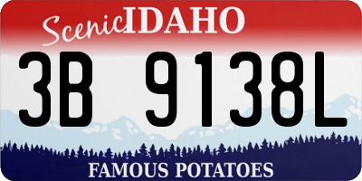 ID license plate 3B9138L
