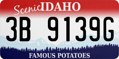 ID license plate 3B9139G