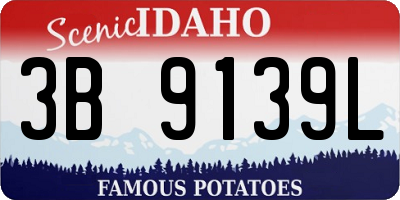 ID license plate 3B9139L
