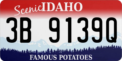 ID license plate 3B9139Q