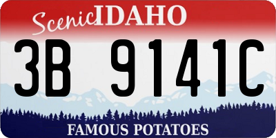 ID license plate 3B9141C
