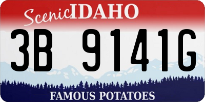 ID license plate 3B9141G