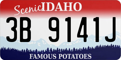 ID license plate 3B9141J
