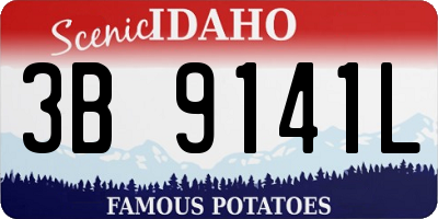 ID license plate 3B9141L