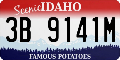 ID license plate 3B9141M