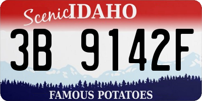 ID license plate 3B9142F