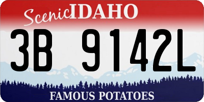 ID license plate 3B9142L