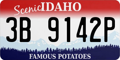 ID license plate 3B9142P