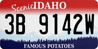 ID license plate 3B9142W