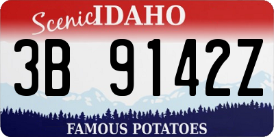 ID license plate 3B9142Z